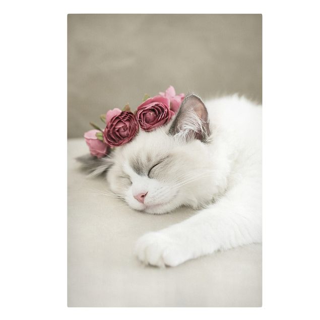Obrazy zwierzęta Śpiący kot z różami