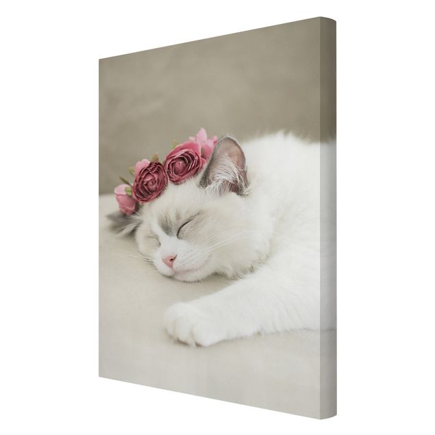 Obraz kota na płótnie Śpiący kot z różami