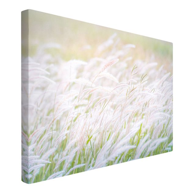 Obrazy motywy kwiatowe Miękkie trawy