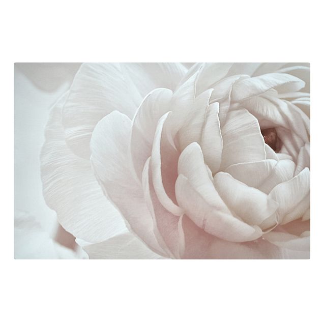 Obraz różowy Biały kwiat w morzu kwiatów
