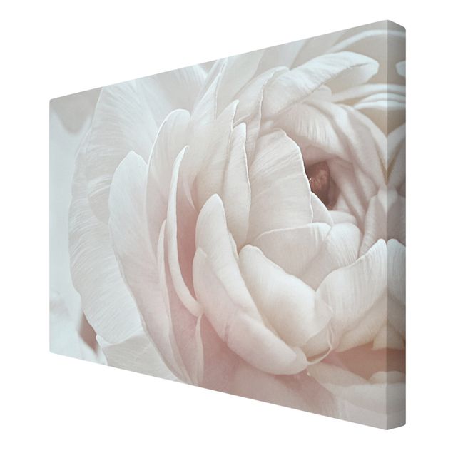 Obrazy z motywem kwiatowym Biały kwiat w morzu kwiatów