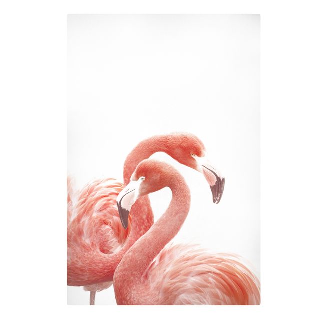 Obrazy pióra Dwa flamingi