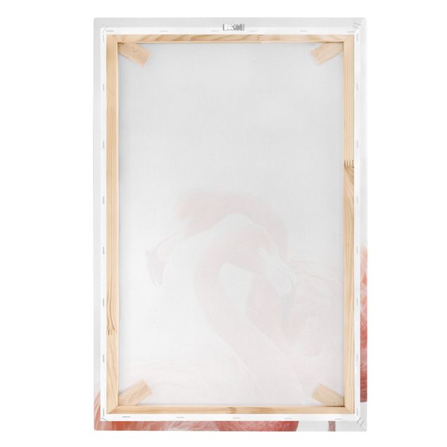 Obrazy na płótnie zwierzęta Dwa flamingi