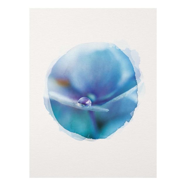 Obrazy nowoczesny Akwarele - Kropla wody Kwiat hortensji