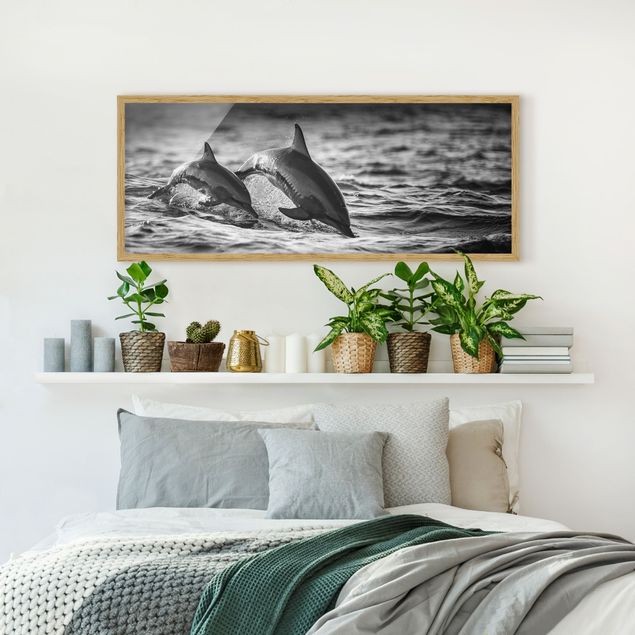 Obrazy w ramie do korytarzu Dwa skaczące delfiny