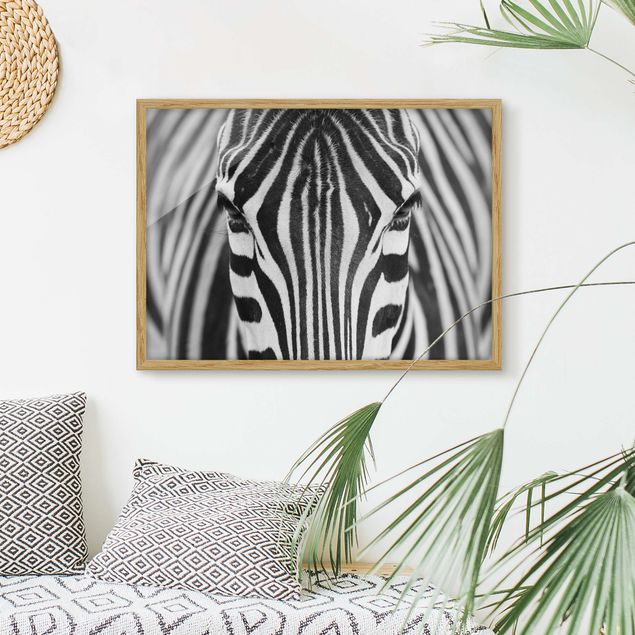 Obrazy w ramie do korytarzu Zebra Look