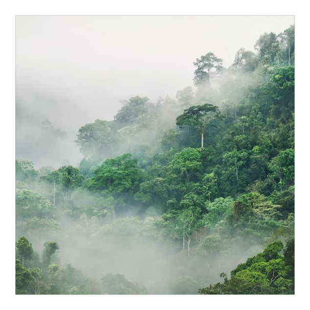 Fototapeta - Dżungla we mgle