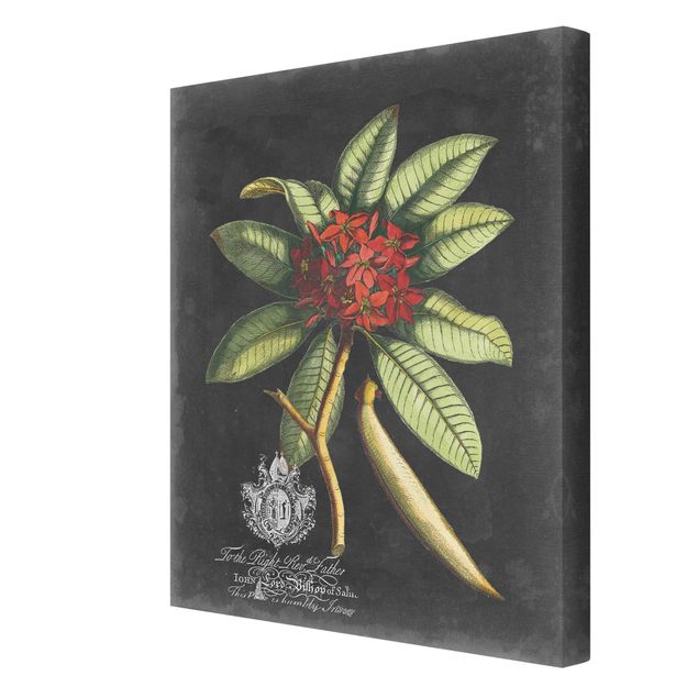 Obrazy motywy kwiatowe Vintage Królewskie liście na czarnym tle III