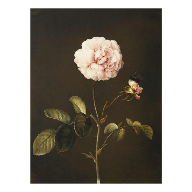 Obrazy na szkle artyści Barbara Regina Dietzsch - Róża octowa z trzmielem