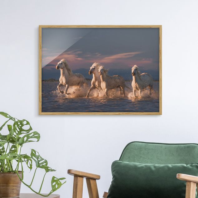 Obrazy w ramie do korytarzu Dzikie konie w Camargue