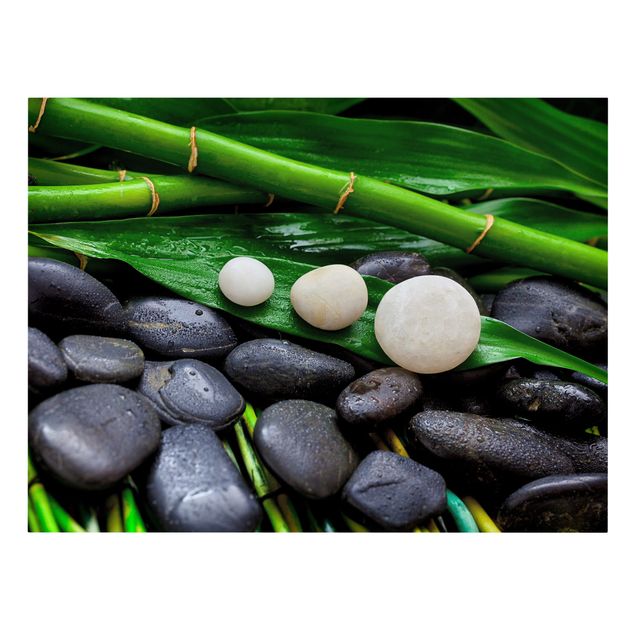 Obrazy na płótnie bambus Zielony bambus z kamieniami Zen