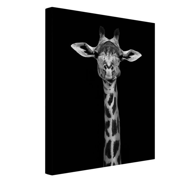 Obrazy ze zwierzętami Portret ciemnej żyrafy