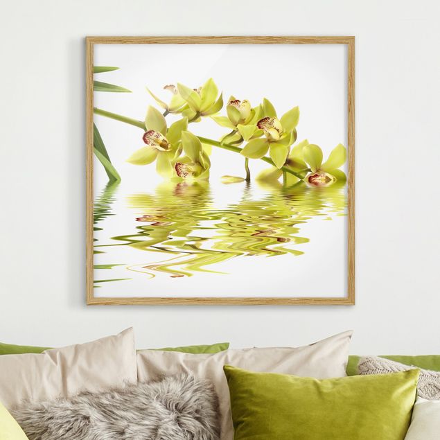 Obrazy orchidea Eleganckie wody orchidei