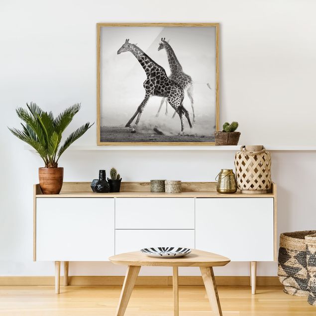 Obrazy w ramie do korytarzu Polowanie na żyrafę