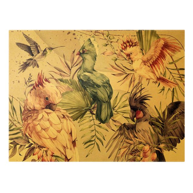 Obrazy ptaki na płótnie Ptaki tropikalne - Kolorowe kakadu i kolibry