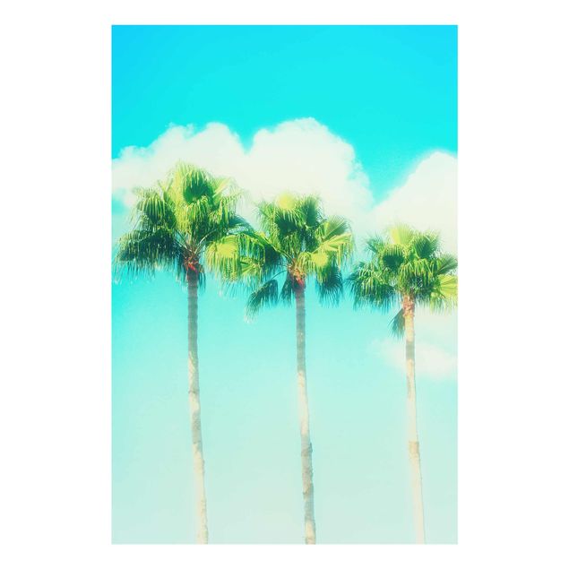 Obrazy krajobraz Palmy na tle błękitu nieba