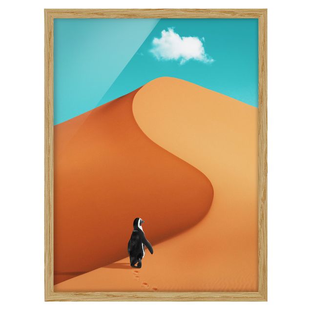 Obrazy w ramie do korytarzu Pustynia z pingwinem