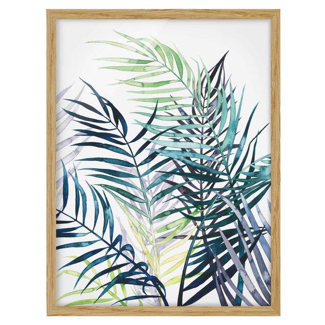 Obrazy w ramie do kuchni Egzotyczne liście - drzewo palmowe