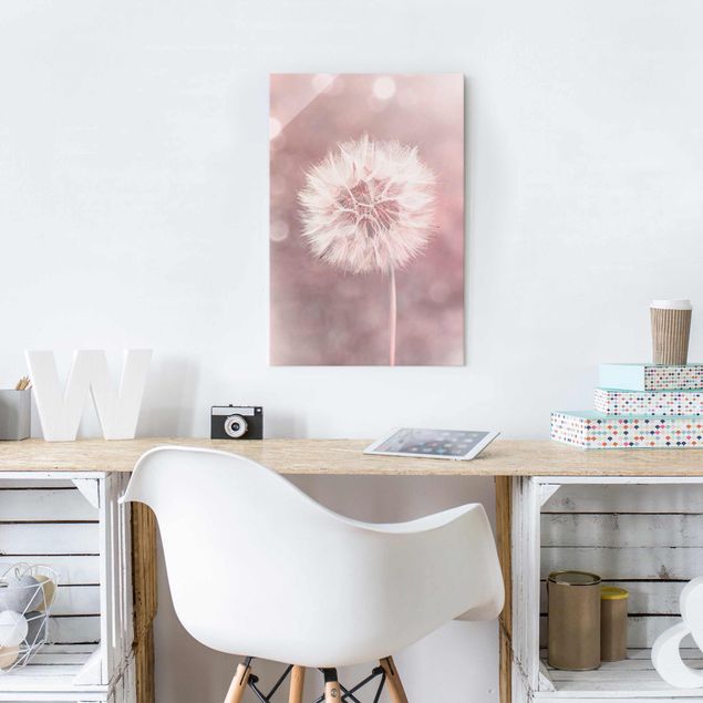 Obrazy do salonu nowoczesne dandelion bokeh różowy