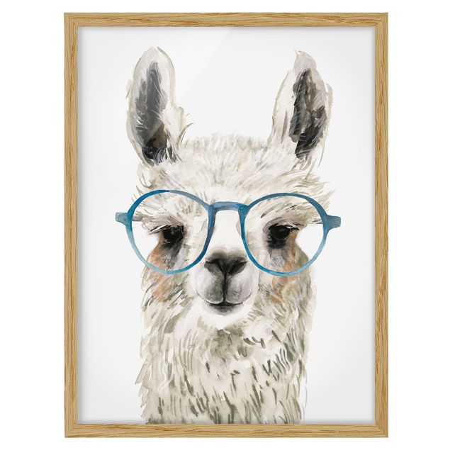 Obrazy w ramie do łazienki Hippy Llama w okularach III