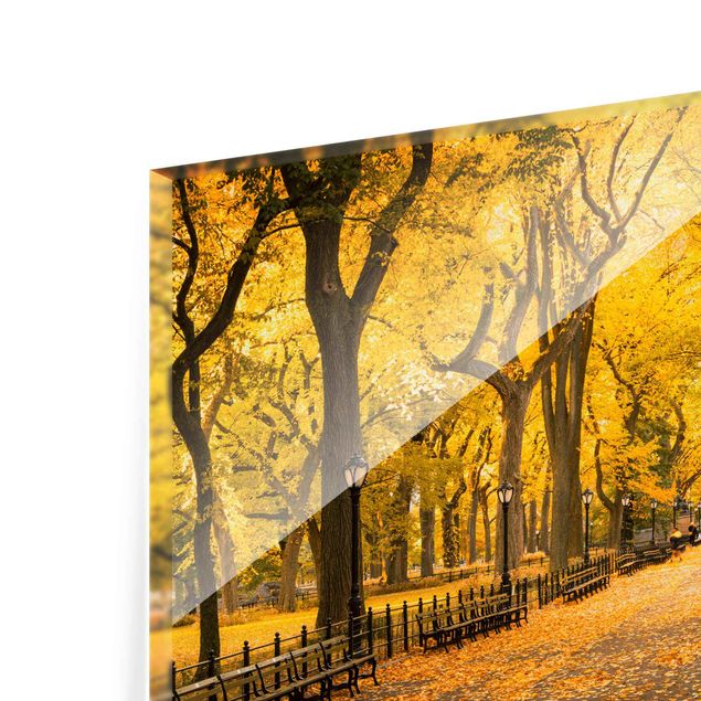 Obrazy nowoczesne Jesień w Central Parku