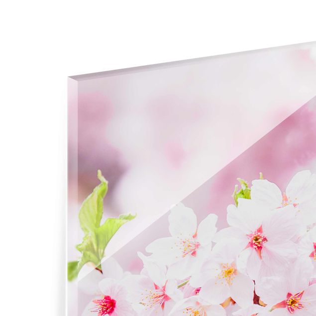 Obraz różowy Japońskie kwiaty wiśni