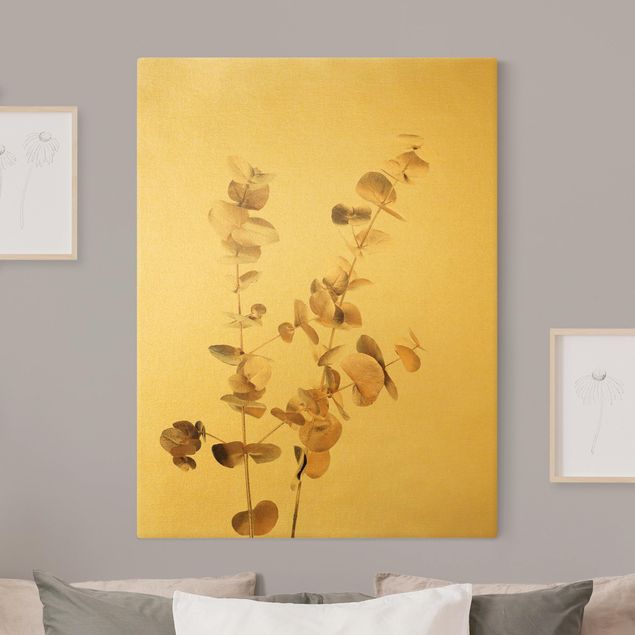 Obrazy motywy kwiatowe Gałązki eukaliptusa złocistego