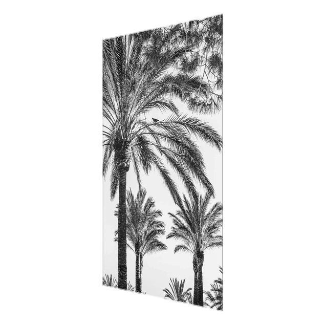 Obrazy na ścianę krajobrazy Palmy o zachodzie słońca, czarno-białe