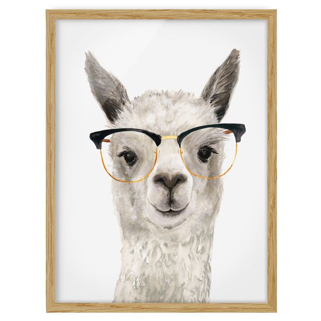Obrazy w ramie do łazienki Hippy Llama w okularach I
