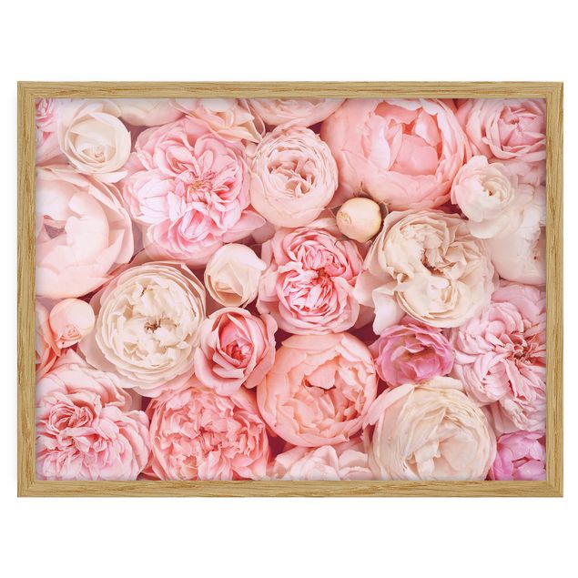 Obrazy w ramie do kuchni Rosy Rosé Coral Shabby