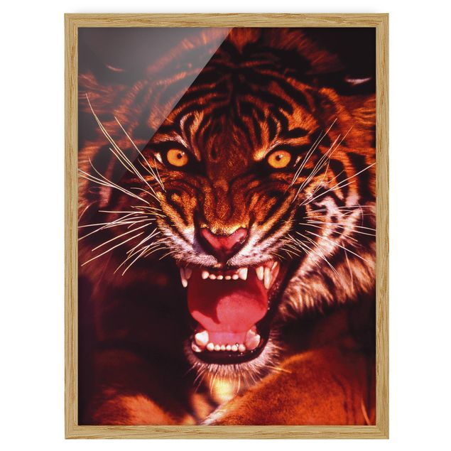 Obrazy w ramie do kuchni Dziki tygrys