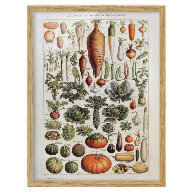 Obrazy w ramie vintage Tablica edukacyjna w stylu vintage Warzywa