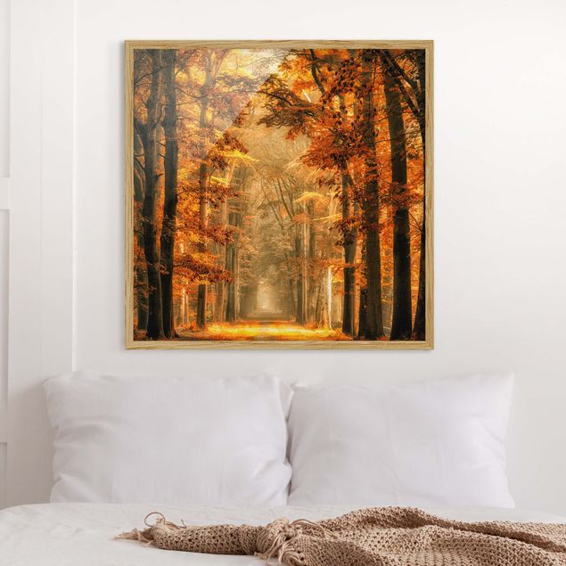 Obrazy w ramie krajobraz Bajkowy las jesienią