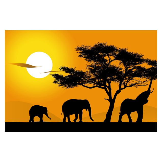 Fototapety Spacer na słoniach afrykańskich