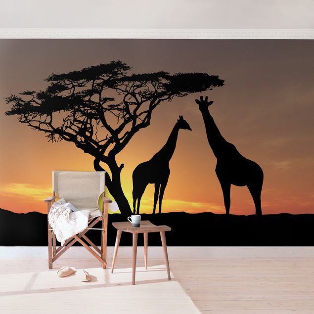 Fototapety żyrafa Zachód słońca w Afryce