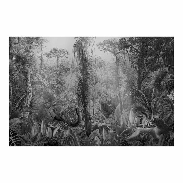 Fototapeta Starożytna dżungla czarno-biały