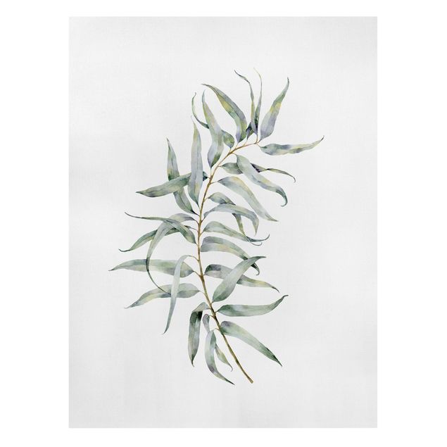 Obrazy z motywem kwiatowym Akwarela Eukaliptus IV