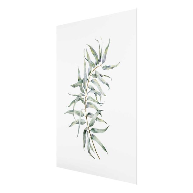 Obrazy motywy kwiatowe Akwarela Eukaliptus IV