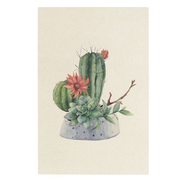 Obrazy kwiatowe Akwarela Ilustracja kaktusów