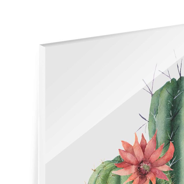 Obrazy Akwarela Ilustracja kaktusów