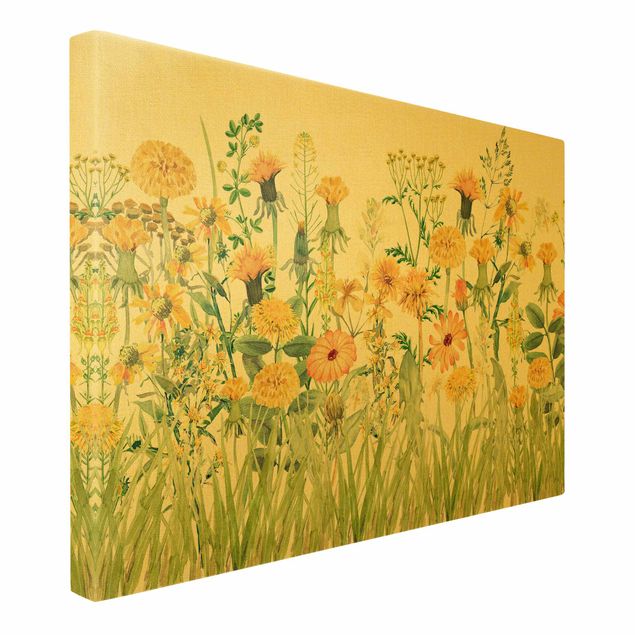 Obrazy z motywem kwiatowym Watercolour Flower Meadow In Yellow