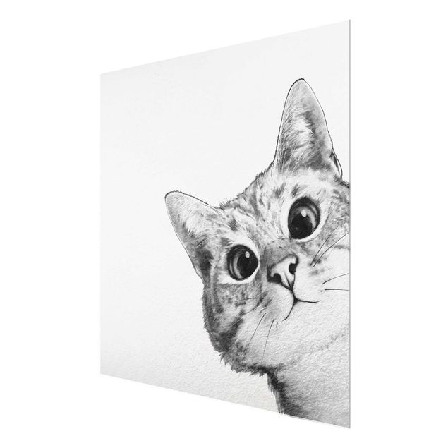 Obrazy koty Ilustracja kota Rysunek czarno-biały