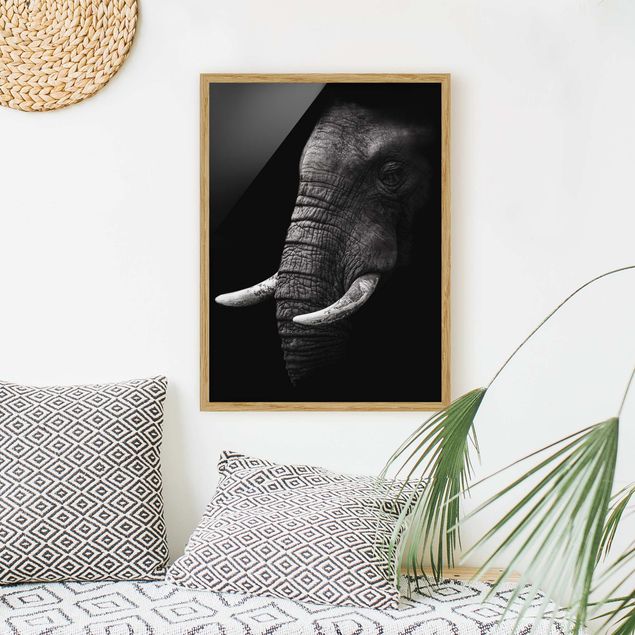 Słoń obraz Portret ciemnego słonia