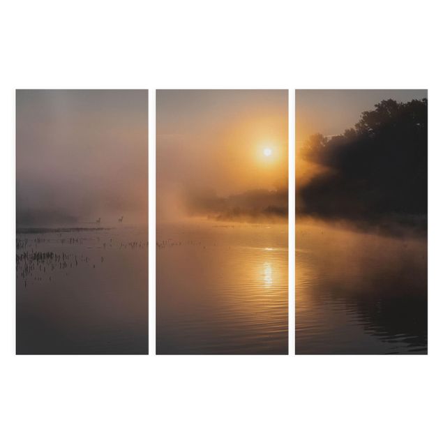 Obrazy na płótnie zachód słońca Wschód słońca nad jeziorem z jeleniami we mgle