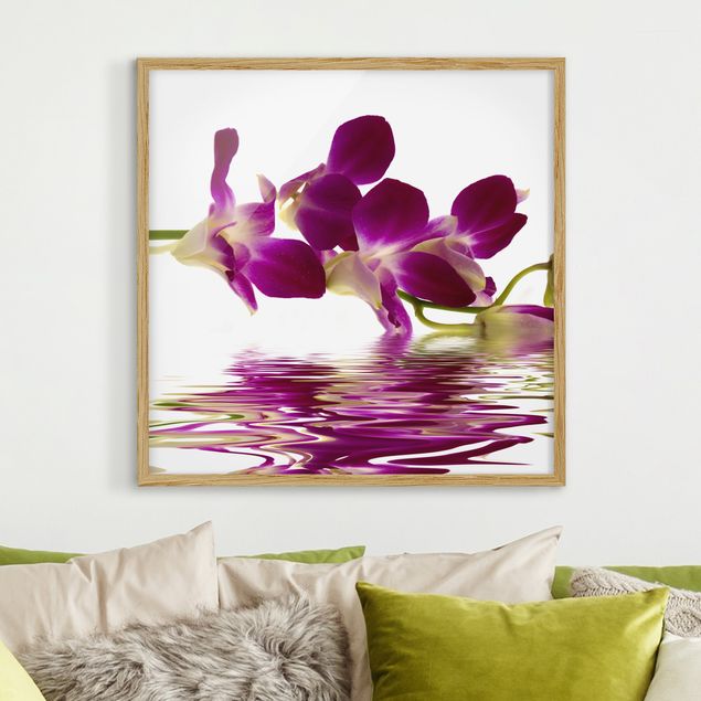 Orchidea obraz Wody różowej orchidei