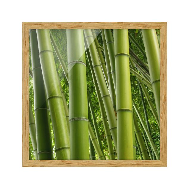 Obrazy w ramie do łazienki Drzewa bambusowe