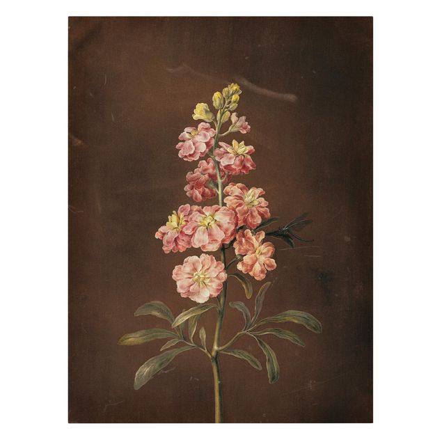 Obrazy z motywem kwiatowym Barbara Regina Dietzsch - Różowy ogród Lewkoje