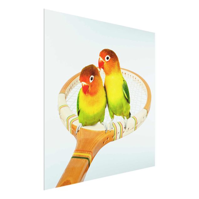 Obrazy na szkle zwierzęta Tenis z ptakami