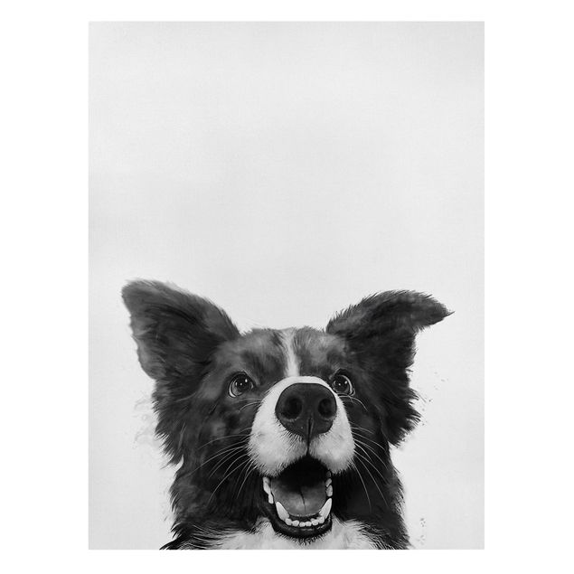 Zwierzęta obrazy Ilustracja pies Border Collie czarno-biały malarstwo
