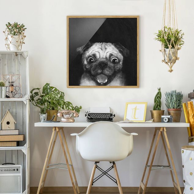 Obrazy w ramie do korytarzu Ilustracja pies Pug malarstwo na czarno-biały